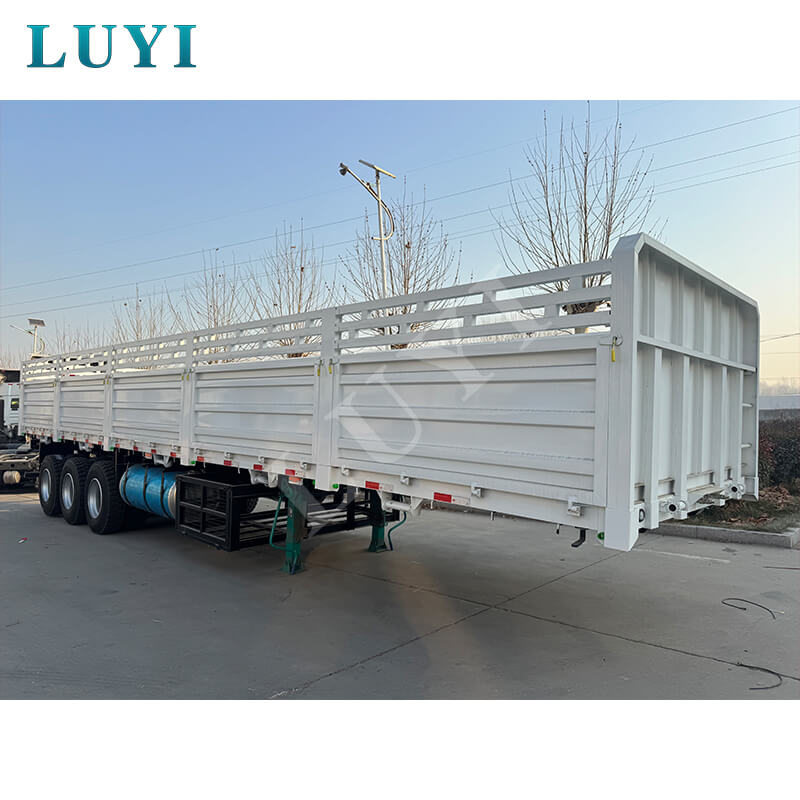 info-800-800