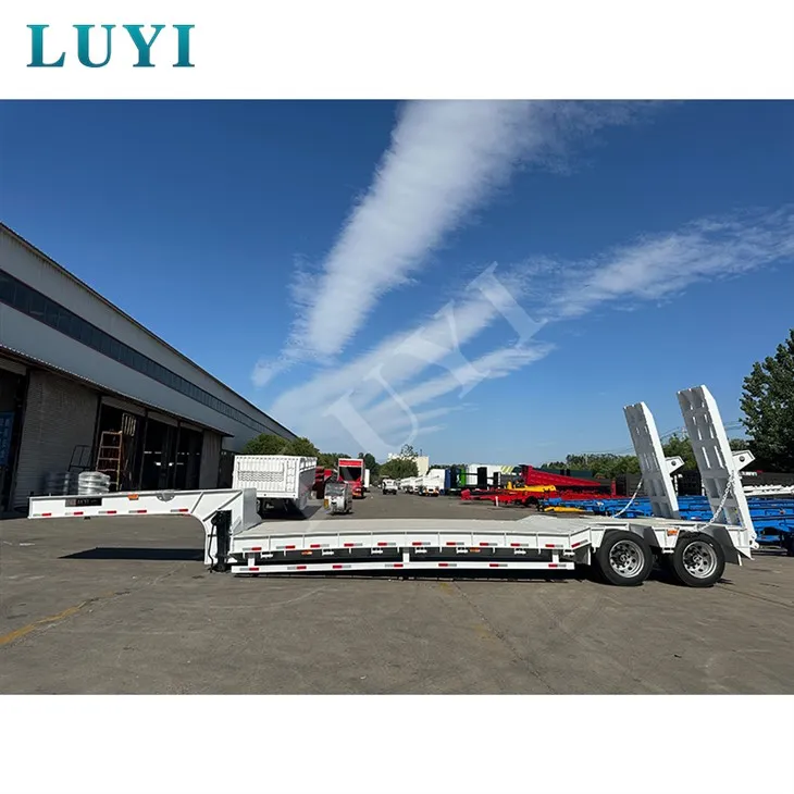 Camiones de camiones semi de la cama baja en cuello de cogado de dos eje